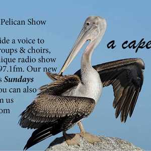 Aka-Pelican Show